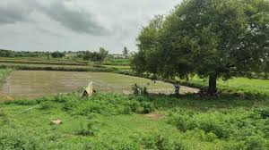 Plots for Sale in Jangaon