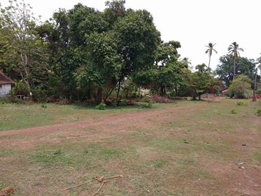 Plots for Sale in Goa