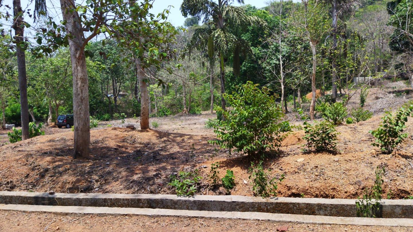 plots for sale in Goa