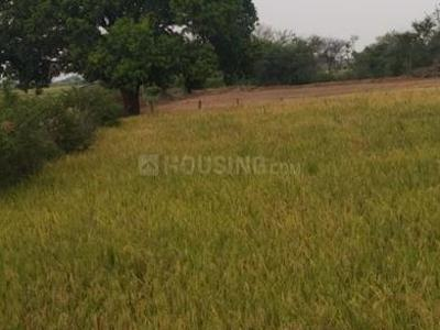 Agricultural Plot