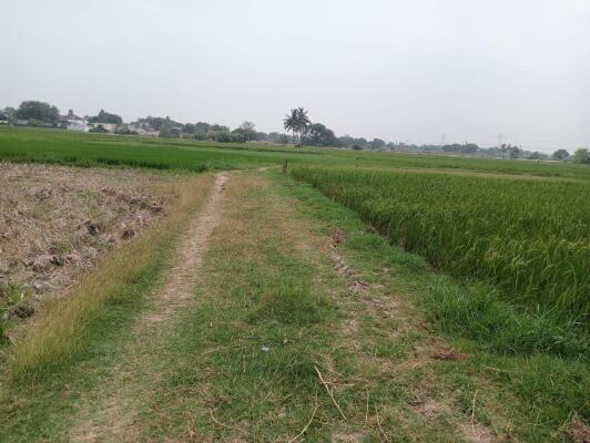 Plots for Sale in Gopalapuram, Hanamkonda