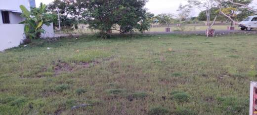 DTCP Approved Plots Chengalpattu for Sale