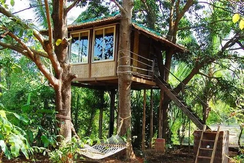 Tree Houses